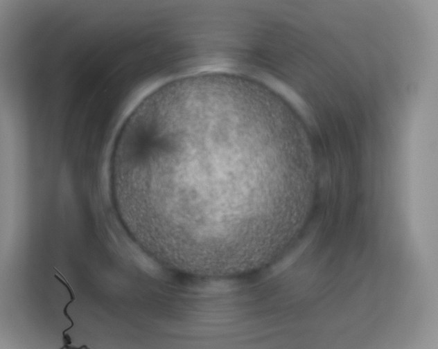 X0000113941423200910091614