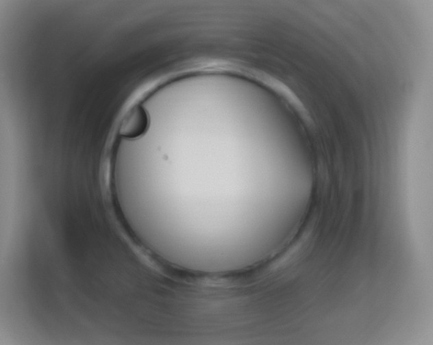 X0000113941424200910091614