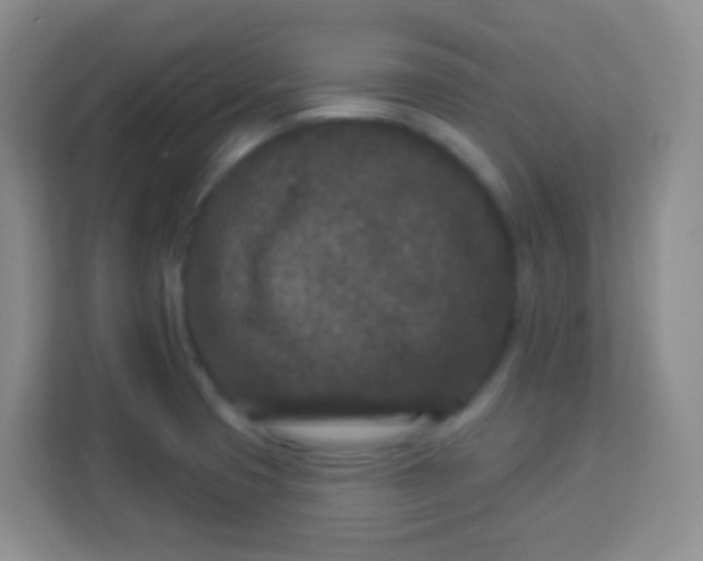 X0000113941425200910091614