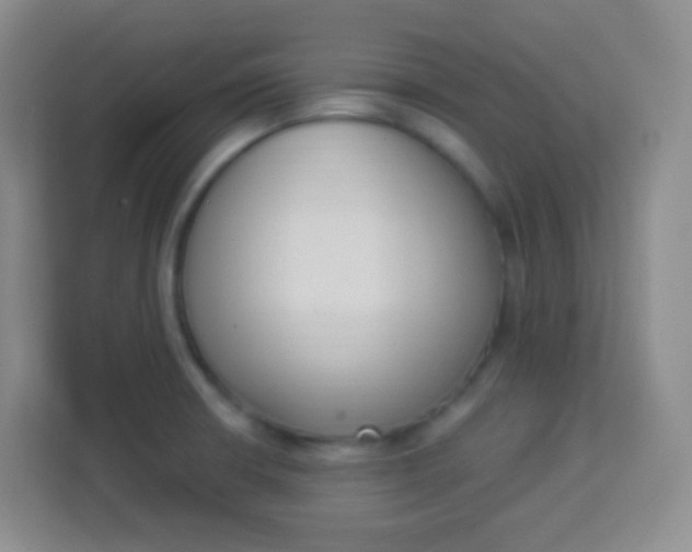 X0000113941426200910091614