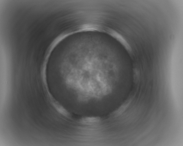 X0000113941427200910091614