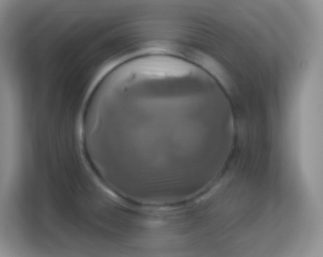 X0000113941428200910091614