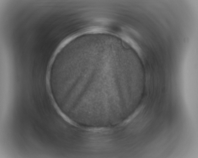 X0000113941429200910091614