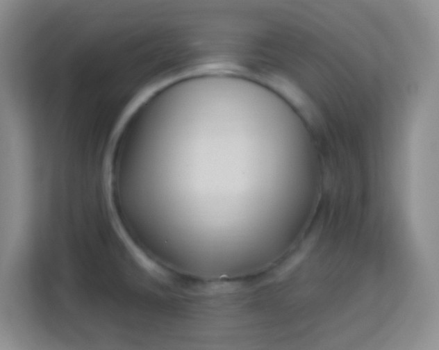 X0000113941430200910091614