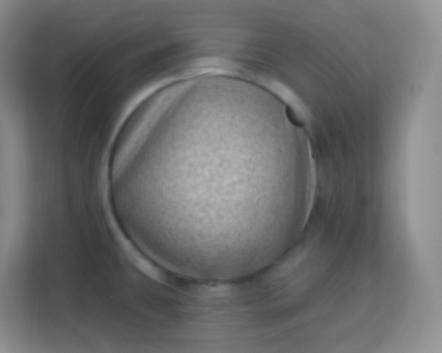 X0000113941431200910091614