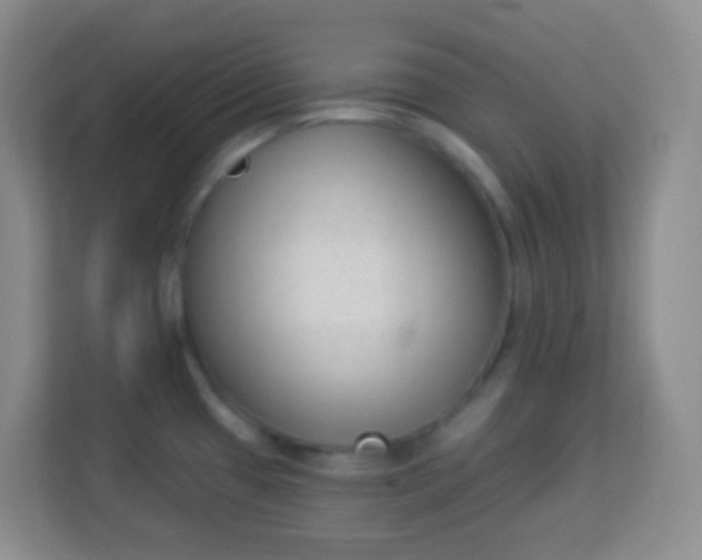 X0000113941433200910091614