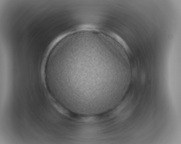 X0000113941435200910091614