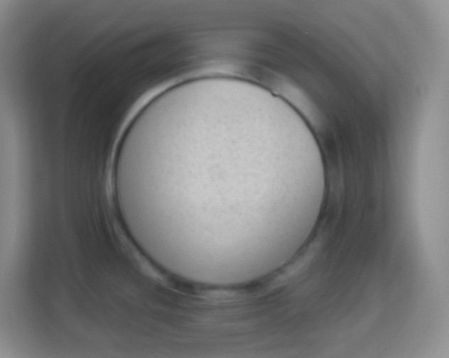 X0000113941436200910091614