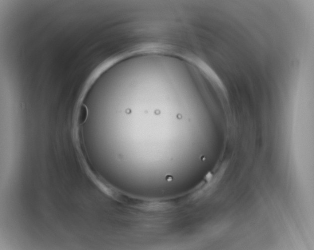 X0000113941437200910091614