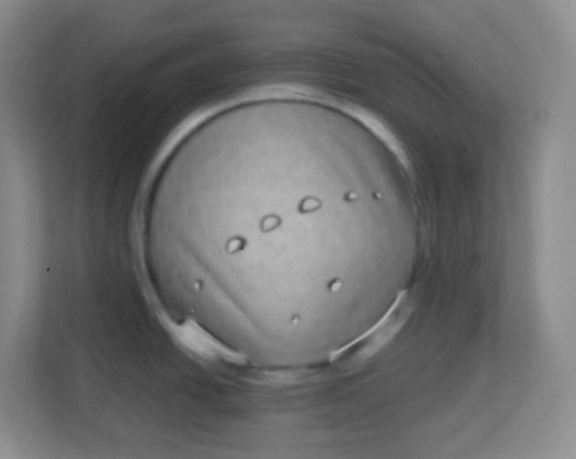 X0000113941438200910091614