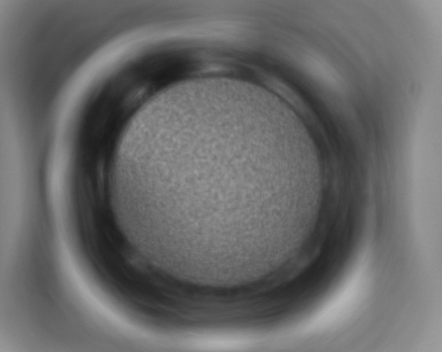 X0000113941439200910091614