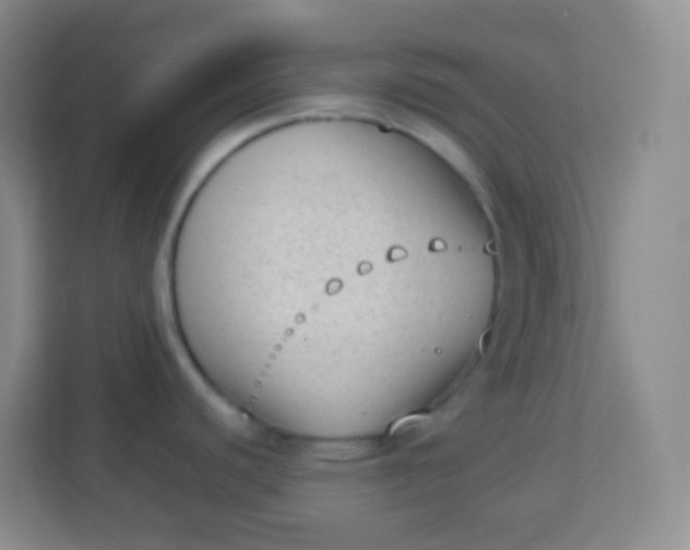 X0000113941440200910091614