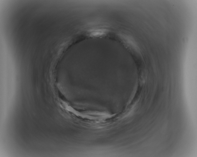 X0000113941441200910091613