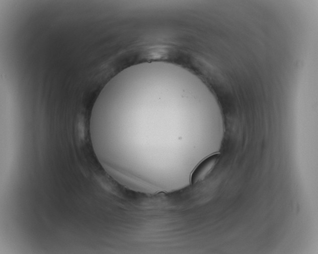 X0000113941442200910091613