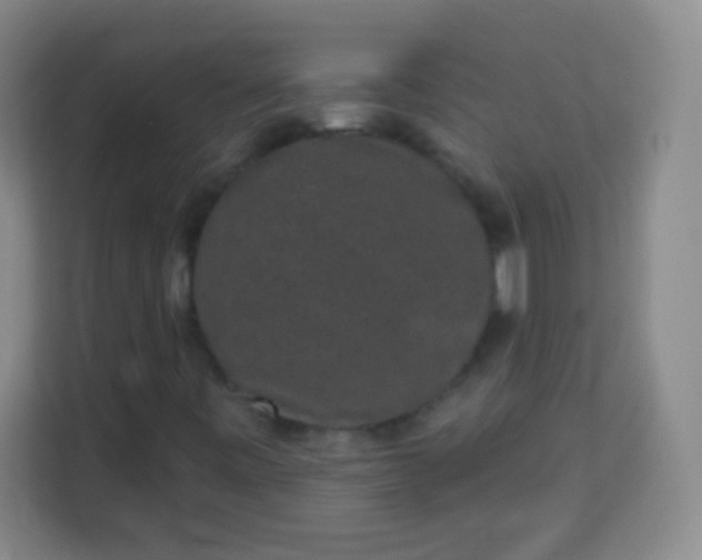 X0000113941443200910091613