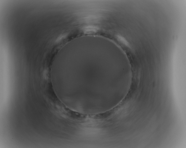 X0000113941445200910091613