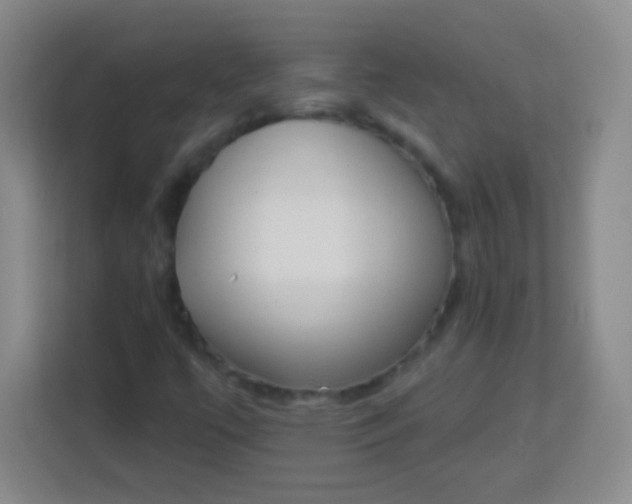 X0000113941447200910091613