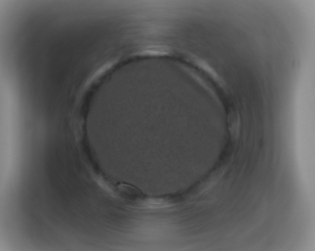 X0000113941448200910091613