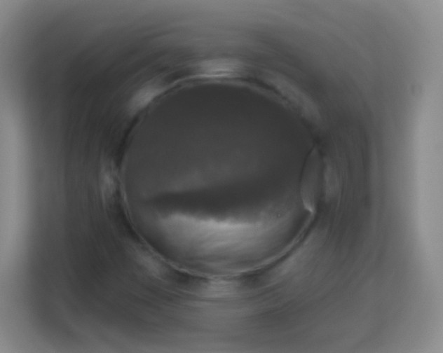 X0000113941449200910091613