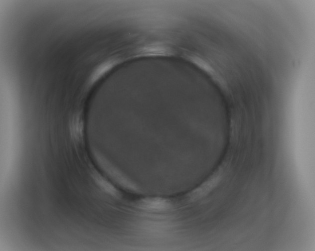 X0000113941450200910091613