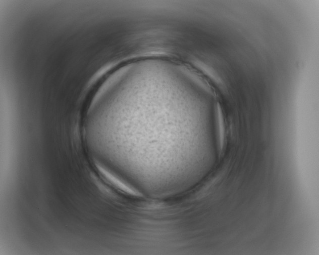 X0000113941452200910091613