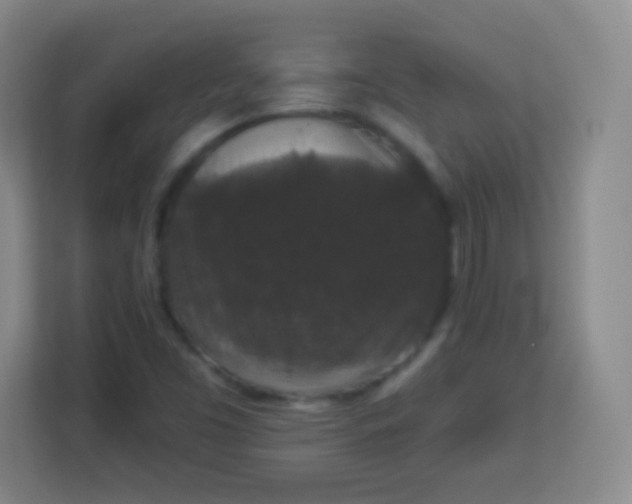 X0000113941453200910091613