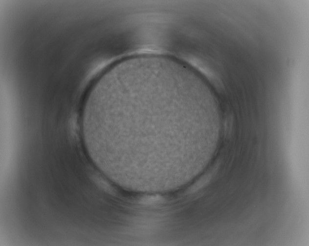 X0000113941454200910091613