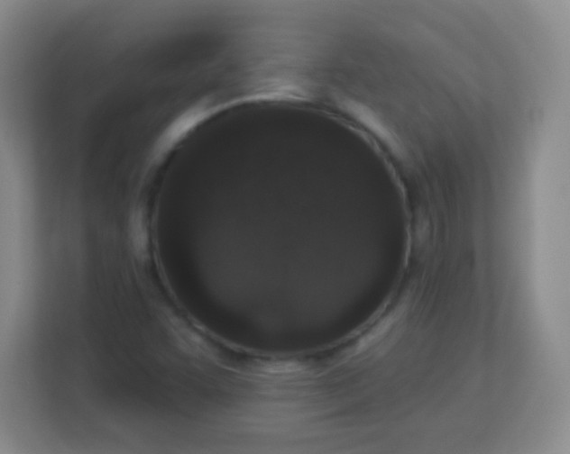 X0000113941455200910091613