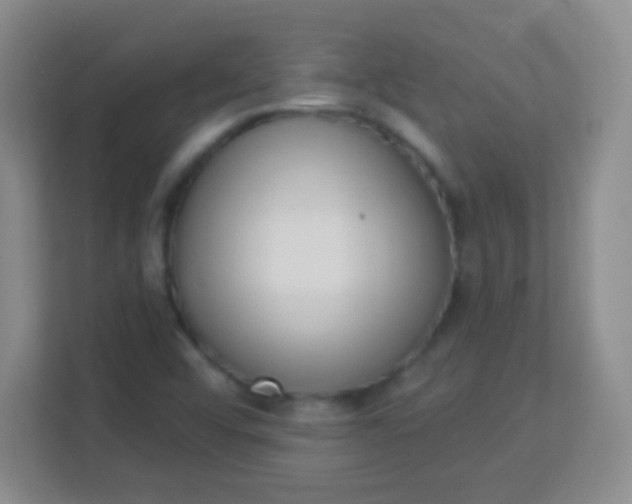 X0000113941456200910091613