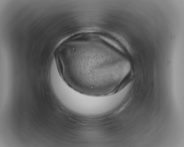 X0000113941457200910091613