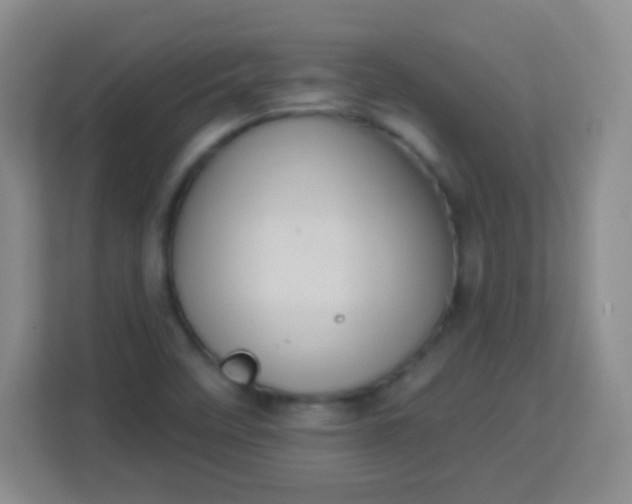 X0000113941458200910091613