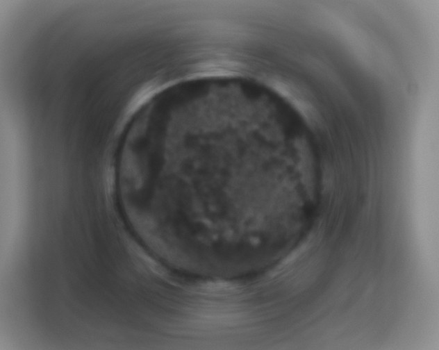 X0000113941459200910091613