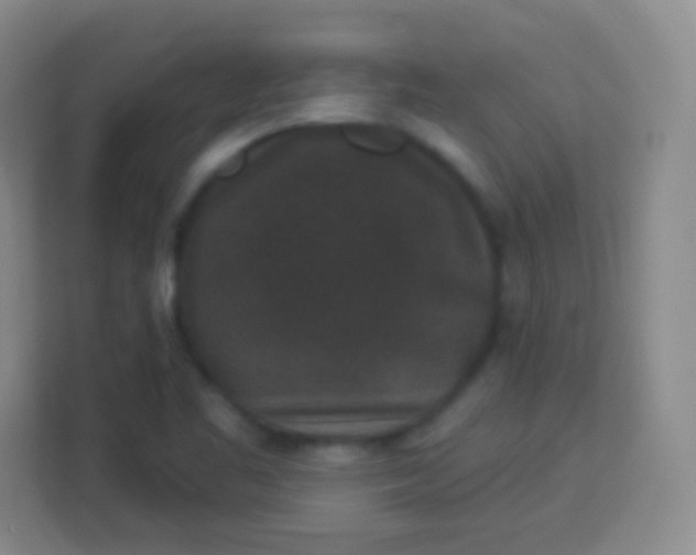 X0000113941461200910091613