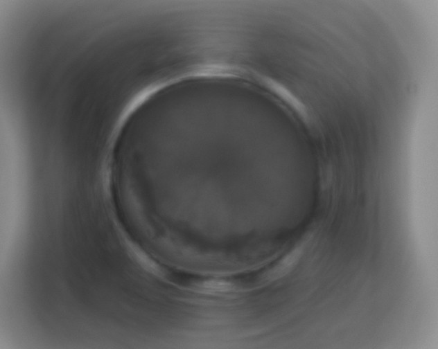 X0000113941463200910091613