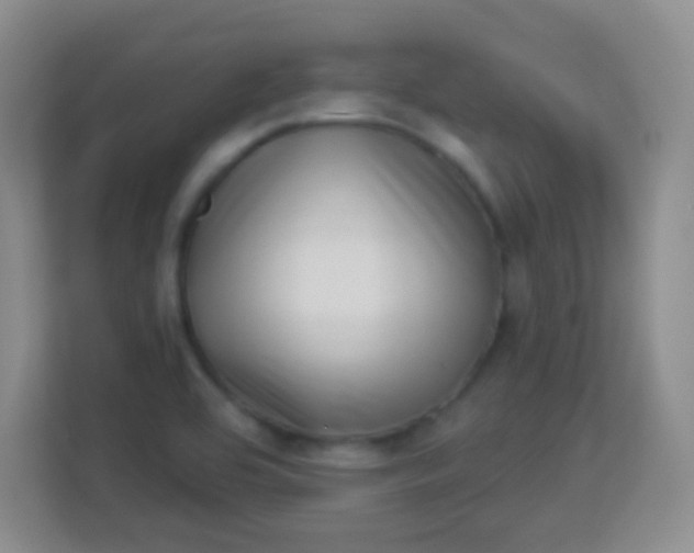 X0000113941464200910091613