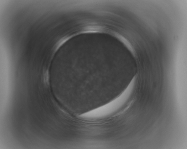 X0000113941465200910091613