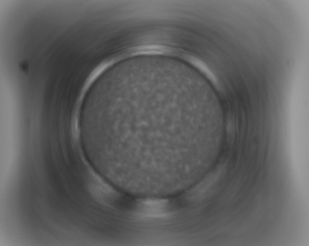 X0000113941466200910091613