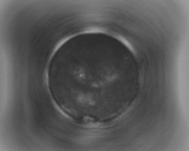 X0000113941468200910091613