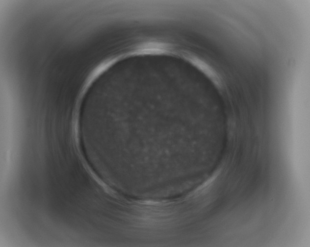 X0000113941469200910091613