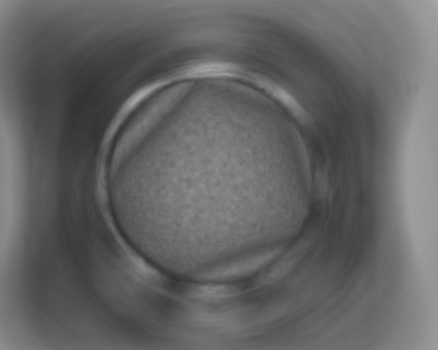 X0000113941470200910091613