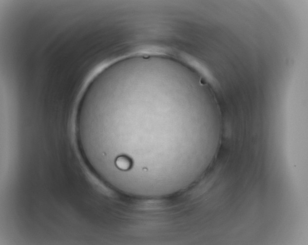 X0000113941471200910091613