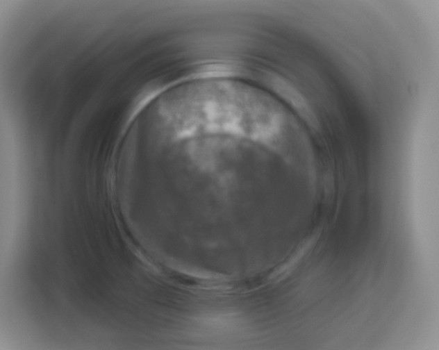 X0000113941473200910091613