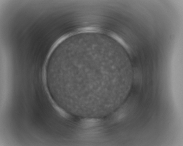 X0000113941474200910091613