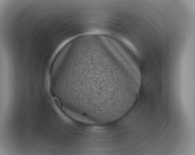 X0000113941476200910091613