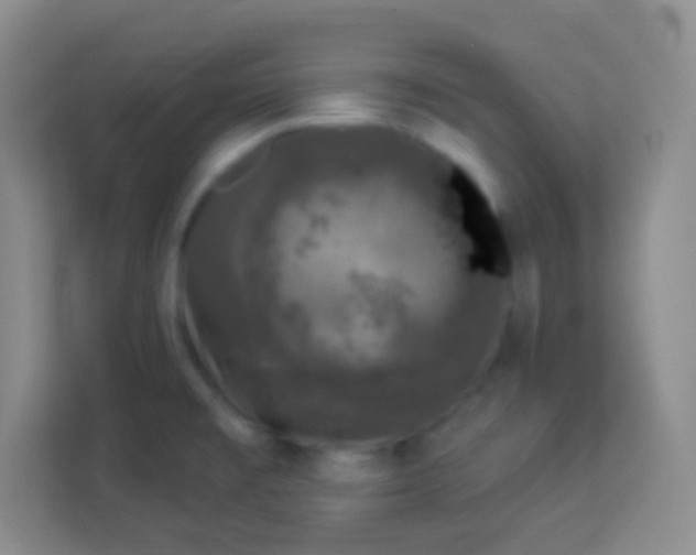 X0000113941477200910091613