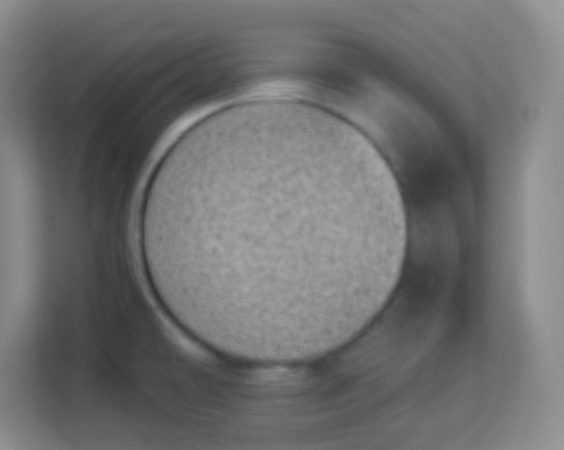 X0000113941478200910091613