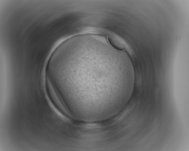 X0000113941479200910091613