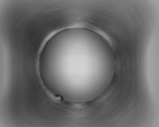 X0000113941480200910091613