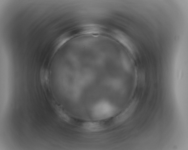 X0000113941481200910091613