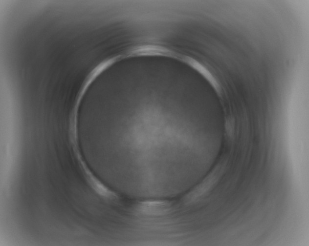 X0000113941482200910091613